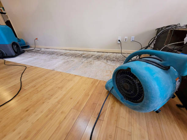 Professional Water Damage Repair technician working in Belvedere Tiburon, CA